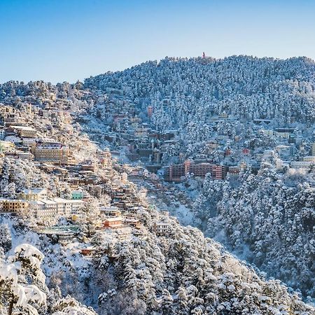 Mountain Zest-Simla Royale Near Mall Road-Free Pickup From Railway Station Simla Eksteriør bilde