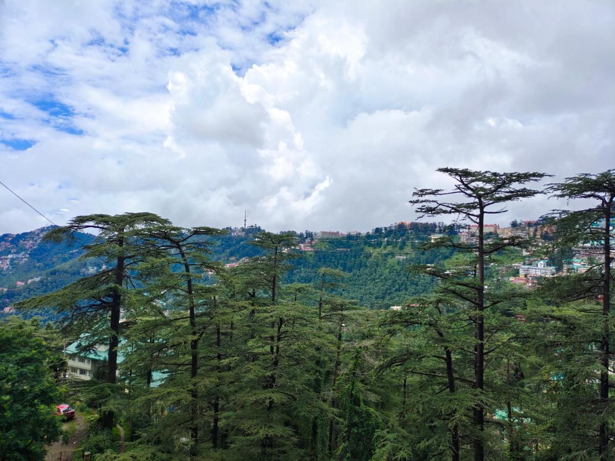 Mountain Zest-Simla Royale Near Mall Road-Free Pickup From Railway Station Simla Eksteriør bilde