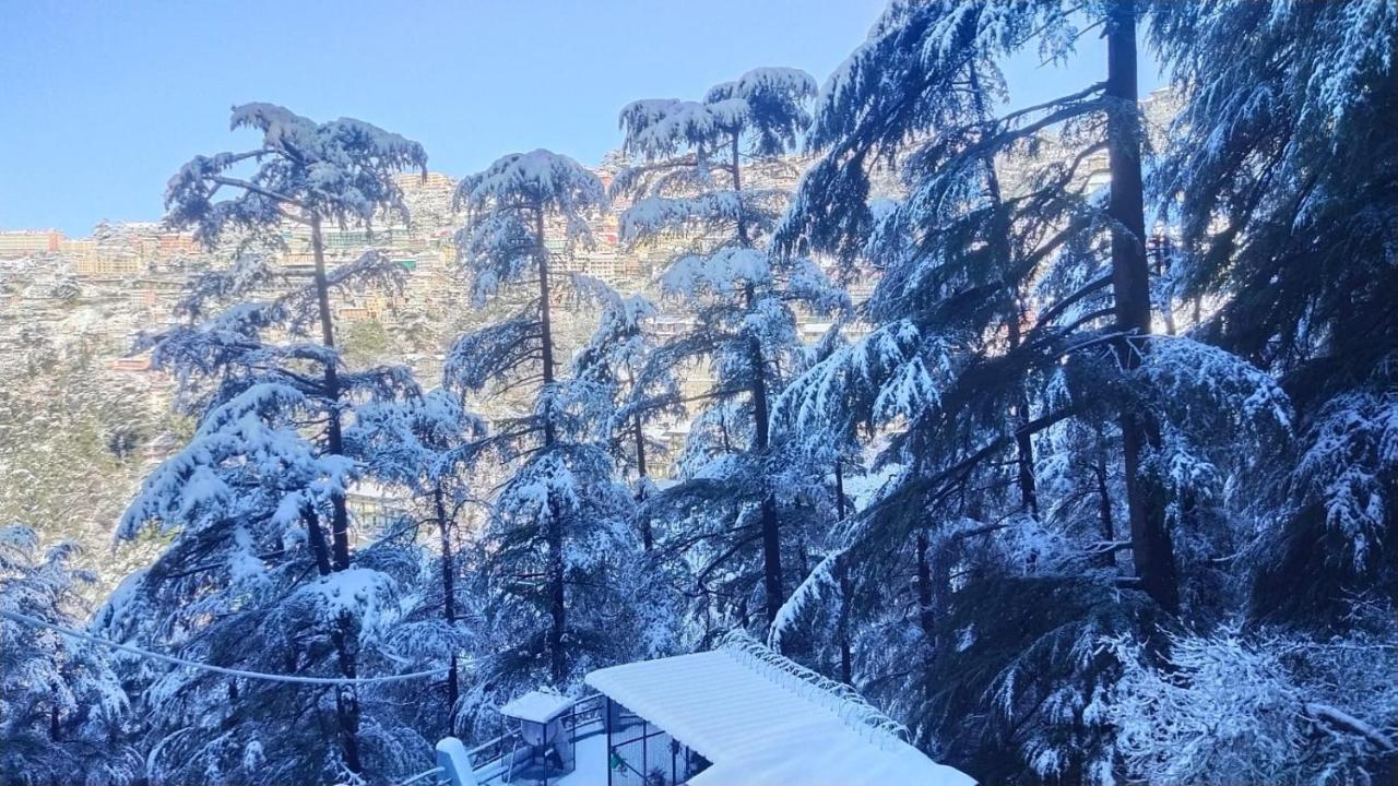 Mountain Zest-Simla Royale Near Mall Road-Free Pickup From Railway Station Simla Eksteriør bilde