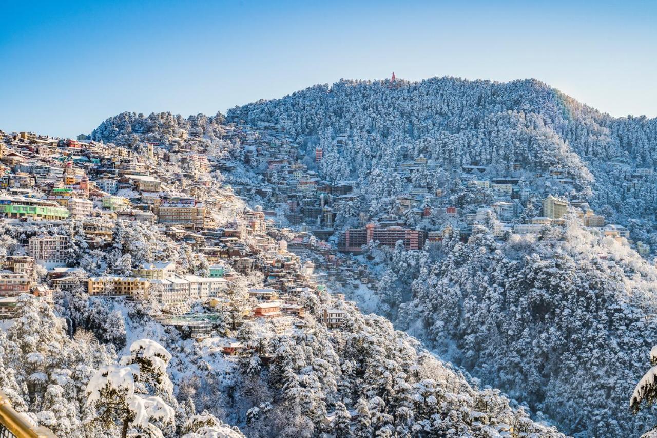 Mountain Zest-Simla Royale Near Mall Road-Free Pickup From Railway Station Simla Eksteriør bilde